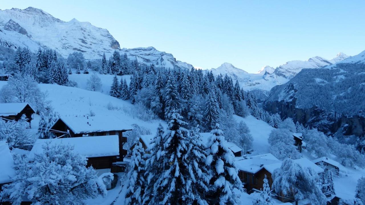 Chalet Eigersunne 2 Wengen Eksteriør bilde